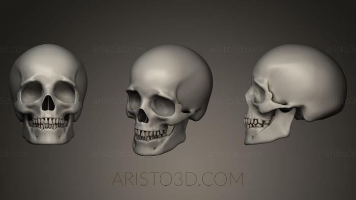 Anatomy of skeletons and skulls (ANTM_0055) 3D model for CNC machine